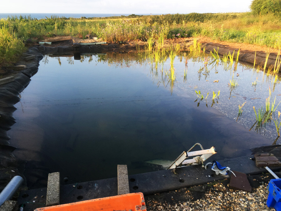 building-swimming-pond-liner