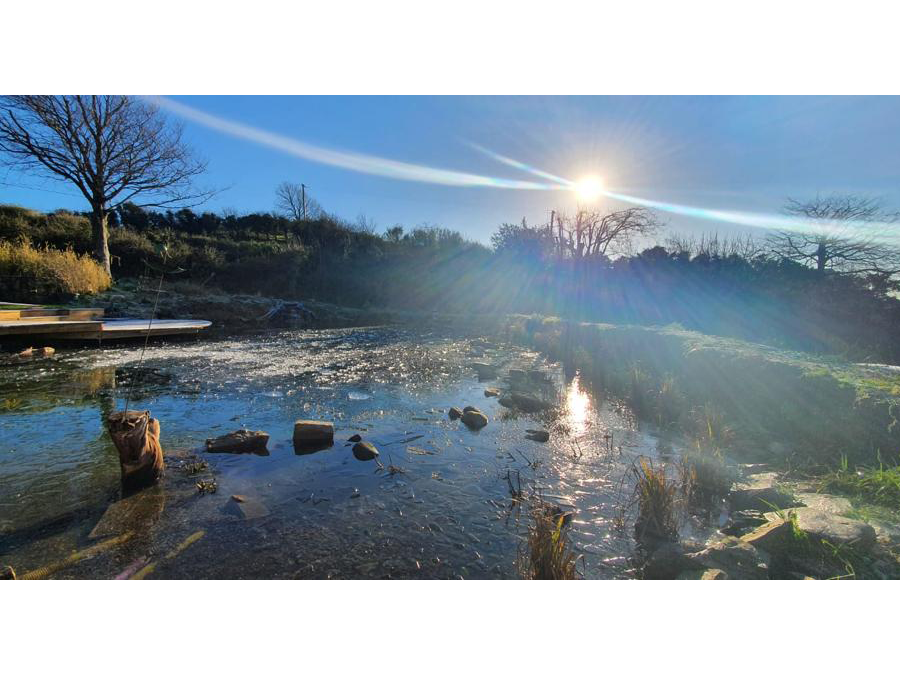 swim-pond-ireland